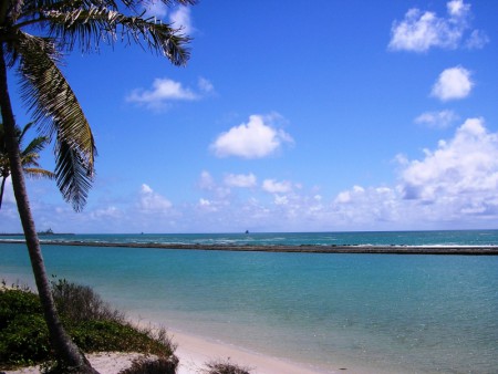 Porto de Galinhas - Muro Alto